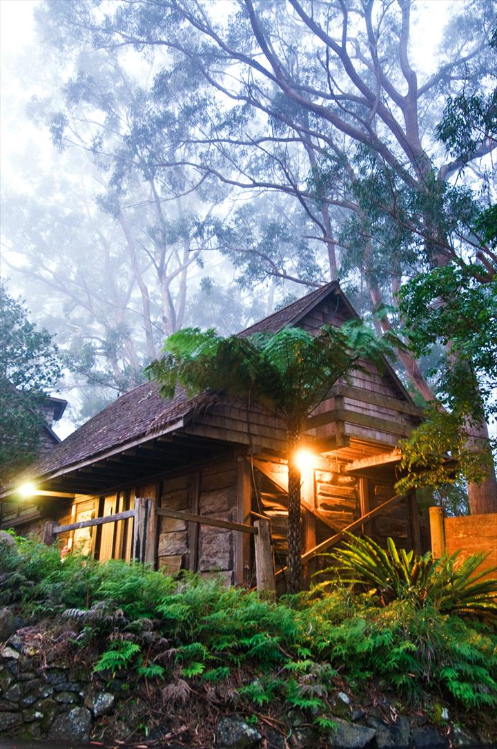 Binna Burra Mountain Lodge