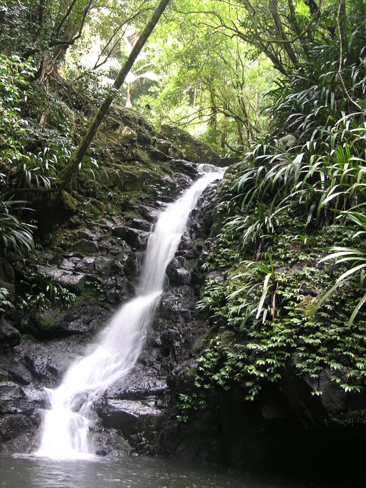 Binna Burra Mountain Lodge