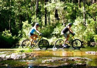 mountain bike tours byron bay